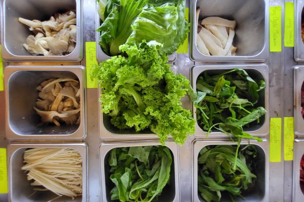 20240820_155035-min 20240820_155035-min